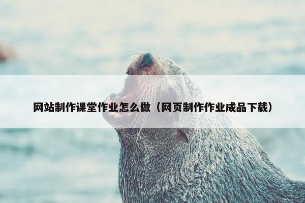 网站制作课堂作业怎么做（网页制作作业成品下载）