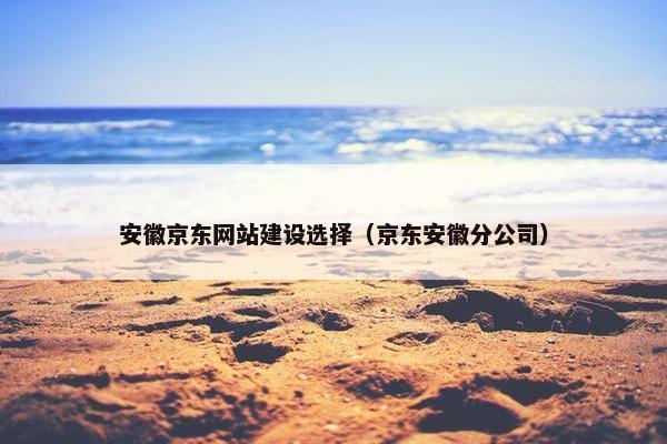 安徽京东网站建设选择（京东安徽分公司）