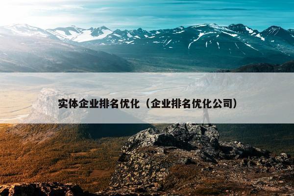 实体企业排名优化（企业排名优化公司）