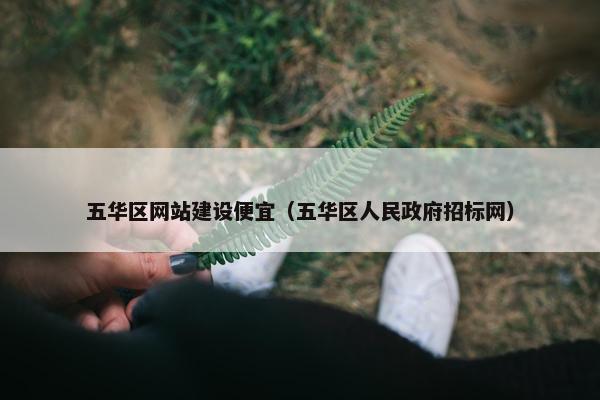 五华区网站建设便宜（五华区人民政府招标网）