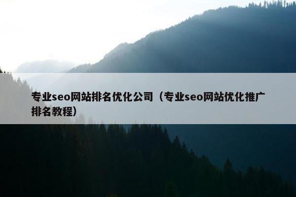 专业seo网站排名优化公司（专业seo网站优化推广排名教程）
