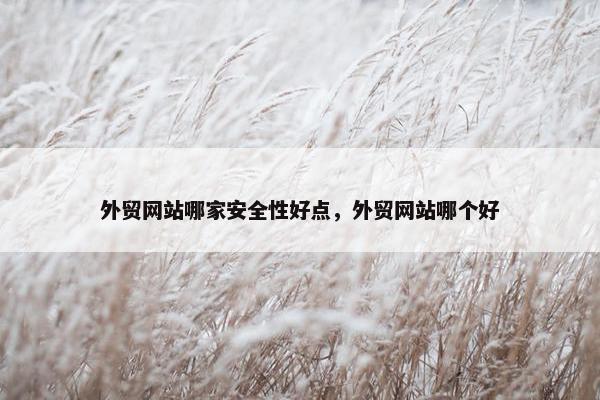外贸网站哪家安全性好点，外贸网站哪个好