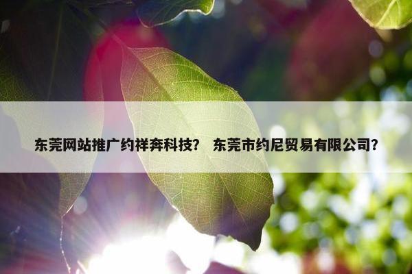 东莞网站推广约祥奔科技？ 东莞市约尼贸易有限公司？