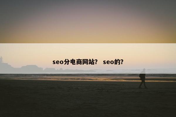 seo分电商网站？ seo的？