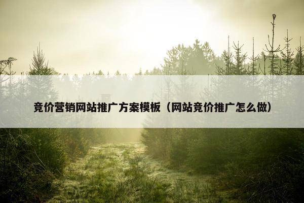 竞价营销网站推广方案模板（网站竞价推广怎么做）