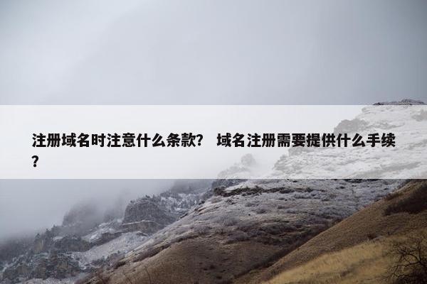 注册域名时注意什么条款？ 域名注册需要提供什么手续？