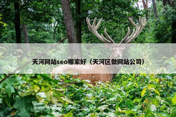 天河网站seo哪家好（天河区做网站公司）