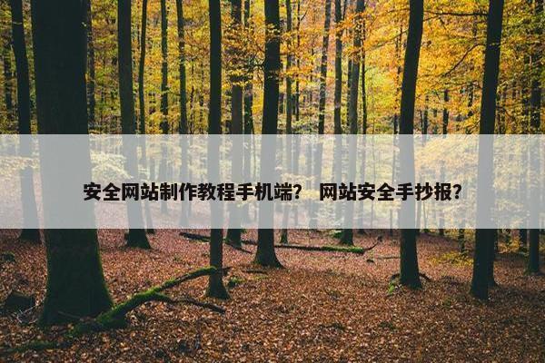安全网站制作教程手机端？ 网站安全手抄报？