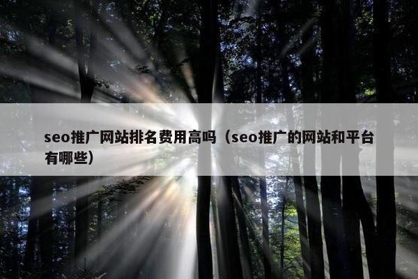 seo推广网站排名费用高吗（seo推广的网站和平台有哪些）