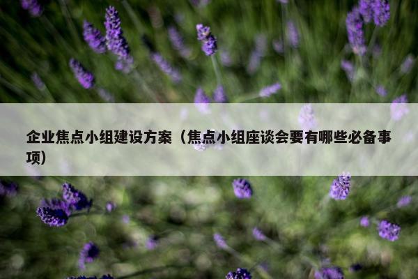 企业焦点小组建设方案（焦点小组座谈会要有哪些必备事项）