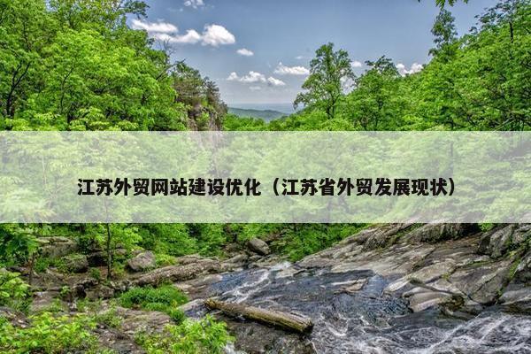 江苏外贸网站建设优化（江苏省外贸发展现状）