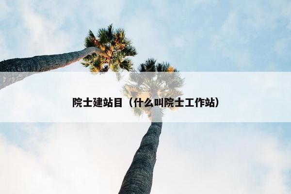 院士建站目（什么叫院士工作站）