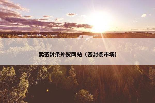 卖密封条外贸网站（密封条市场）