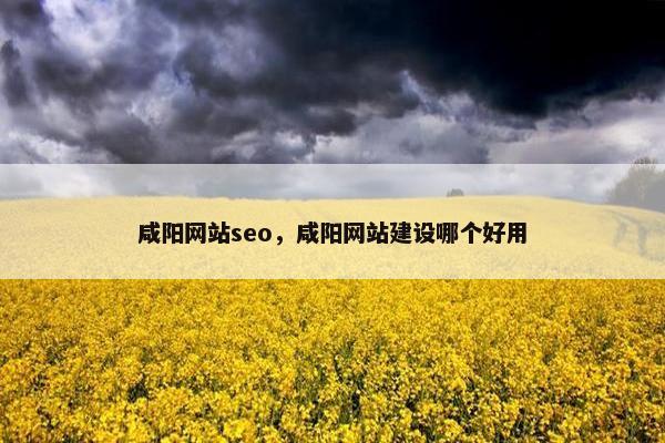 咸阳网站seo，咸阳网站建设哪个好用