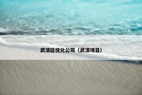 武清区优化公司（武清项目）