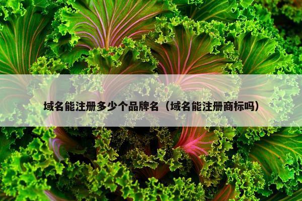 域名能注册多少个品牌名（域名能注册商标吗）