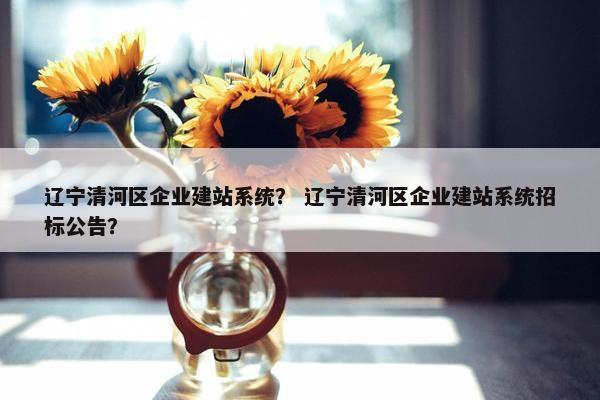辽宁清河区企业建站系统？ 辽宁清河区企业建站系统招标公告？