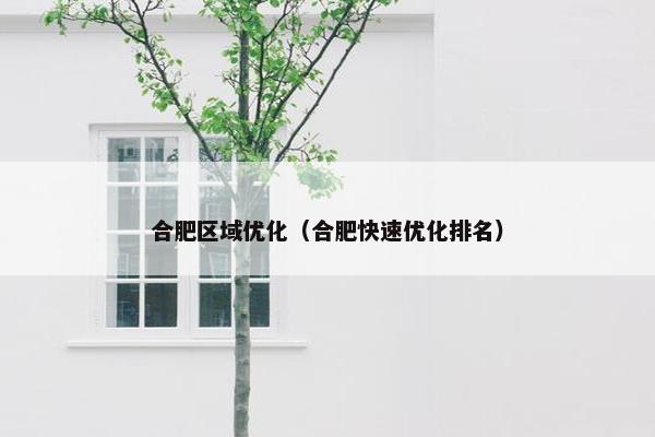 合肥区域优化（合肥快速优化排名）