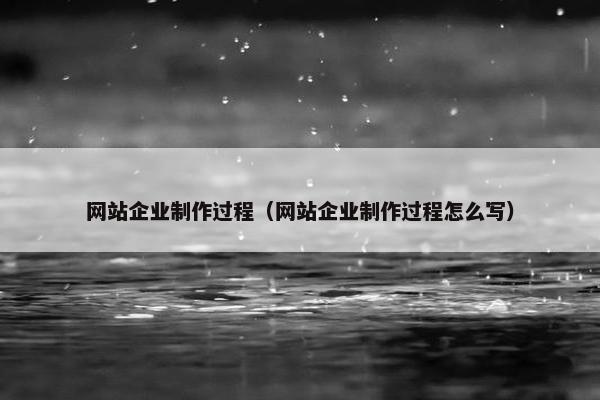 网站企业制作过程（网站企业制作过程怎么写）