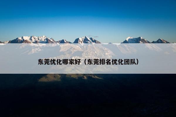 东莞优化哪家好（东莞排名优化团队）