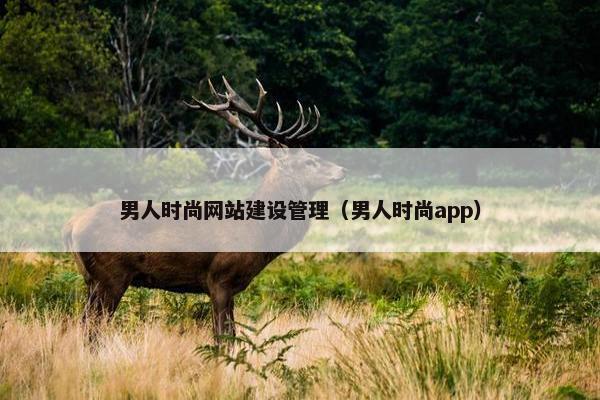 男人时尚网站建设管理（男人时尚app）