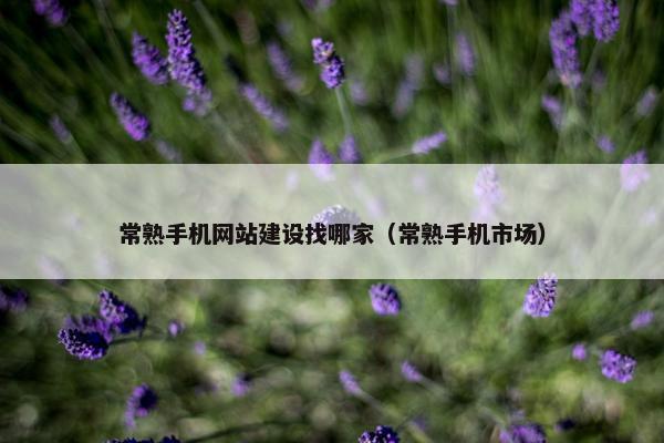 常熟手机网站建设找哪家（常熟手机市场）