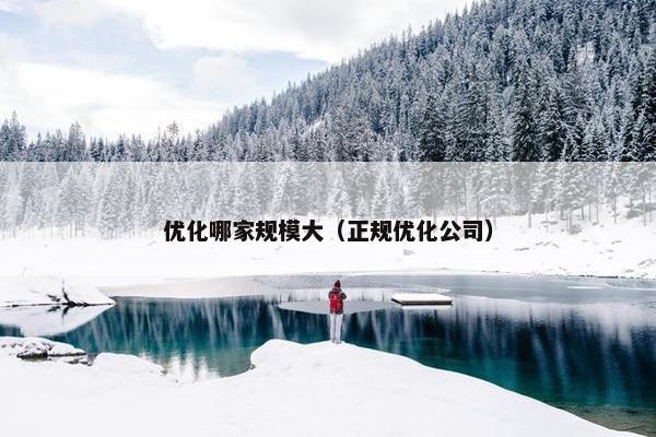 优化哪家规模大（正规优化公司）