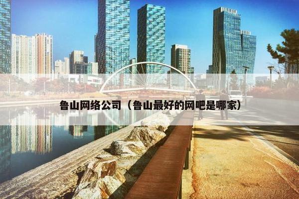 鲁山网络公司（鲁山最好的网吧是哪家）