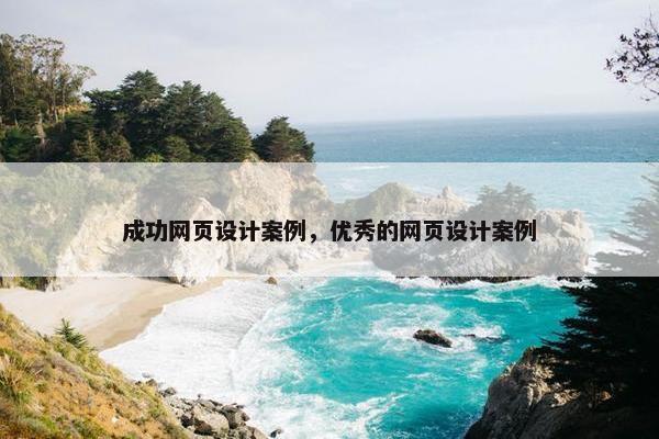 成功网页设计案例，优秀的网页设计案例
