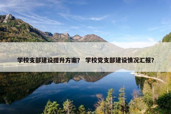 学校支部建设提升方案？ 学校党支部建设情况汇报？