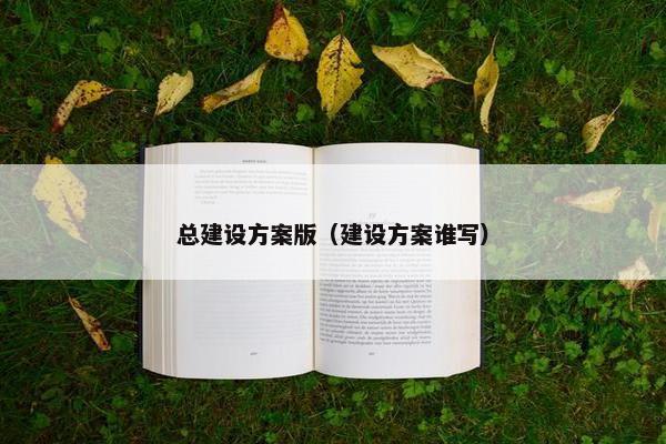 总建设方案版（建设方案谁写）