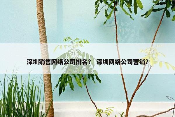 深圳销售网络公司排名？ 深圳网络公司营销？