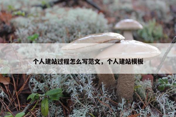 个人建站过程怎么写范文，个人建站模板