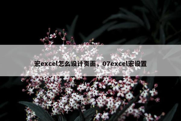 宏excel怎么设计页面，07excel宏设置