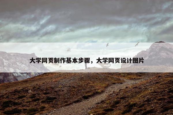 大学网页制作基本步骤，大学网页设计图片