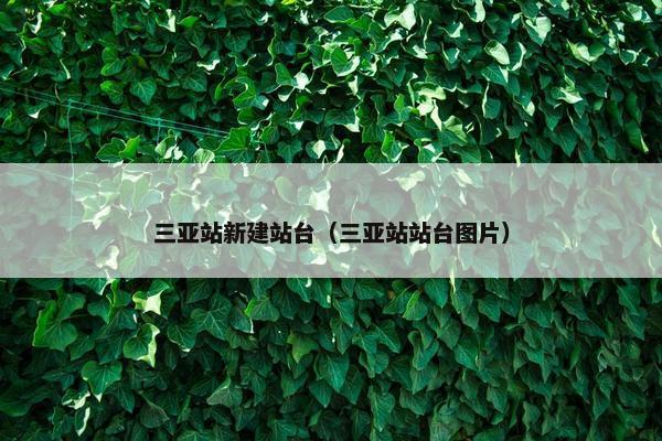 三亚站新建站台（三亚站站台图片）