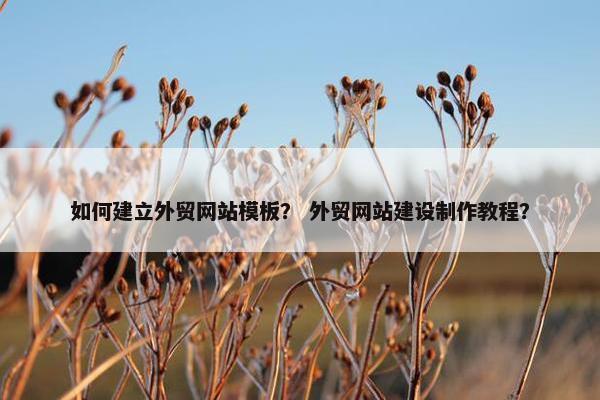 如何建立外贸网站模板？ 外贸网站建设制作教程？