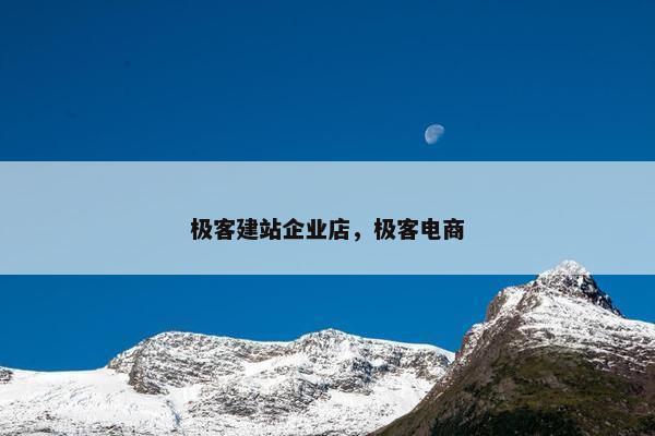 极客建站企业店，极客电商