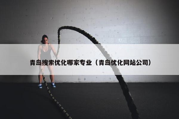 青岛搜索优化哪家专业（青岛优化网站公司）