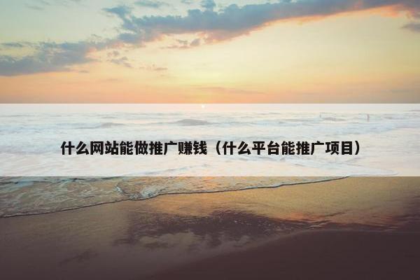 什么网站能做推广赚钱（什么平台能推广项目）