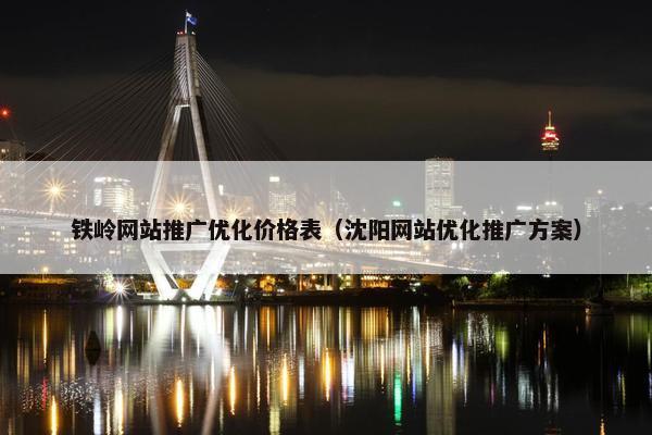 铁岭网站推广优化价格表（沈阳网站优化推广方案）