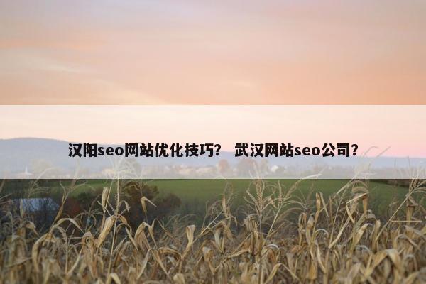 汉阳seo网站优化技巧？ 武汉网站seo公司？
