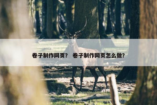 卷子制作网页？ 卷子制作网页怎么做？