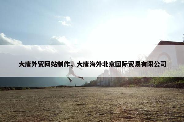 大唐外贸网站制作，大唐海外北京国际贸易有限公司