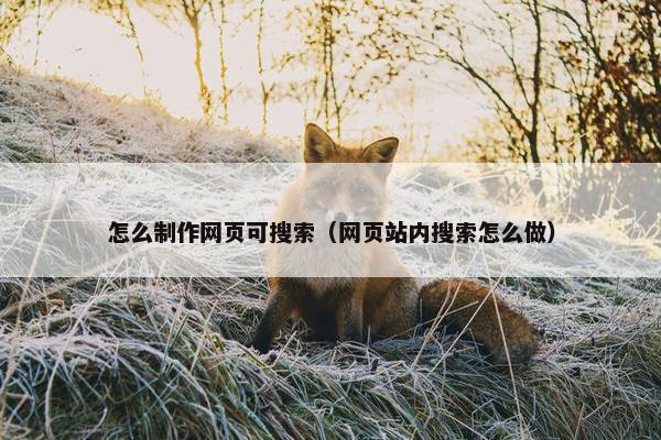 怎么制作网页可搜索（网页站内搜索怎么做）