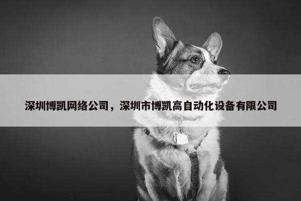 深圳博凯网络公司，深圳市博凯高自动化设备有限公司
