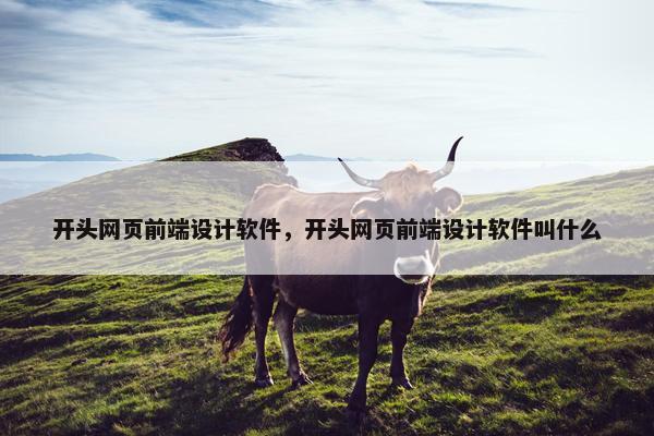 开头网页前端设计软件，开头网页前端设计软件叫什么