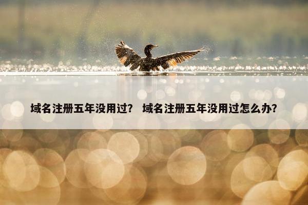 域名注册五年没用过？ 域名注册五年没用过怎么办？