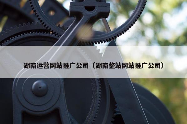 湖南运营网站推广公司（湖南整站网站推广公司）