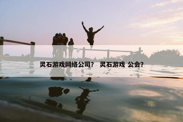 灵石游戏网络公司？ 灵石游戏 公会？